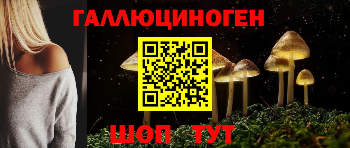 Галлюциногенные грибы Cubensis Дербент